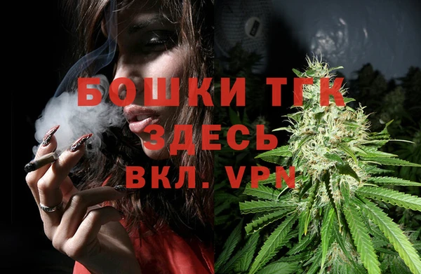 прущие грибы Верея