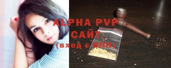 прущие грибы Верея