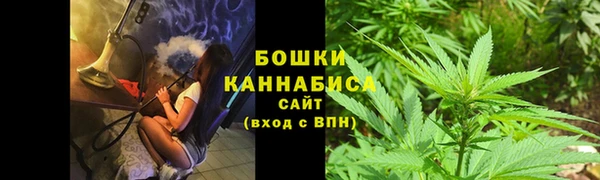 стафф Верхний Тагил