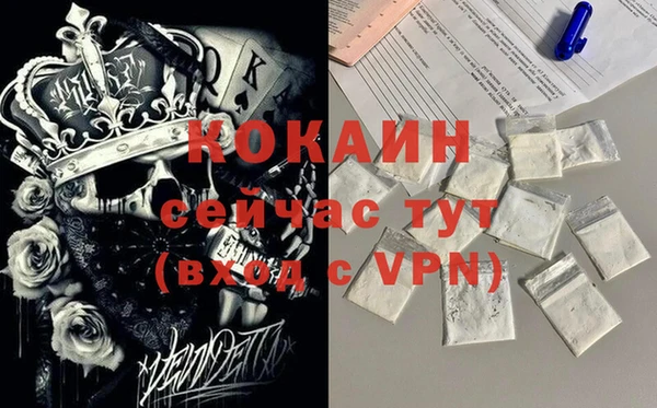 стафф Верхний Тагил