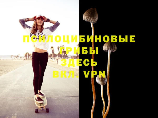 прущие грибы Верея