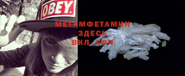 прущие грибы Верея