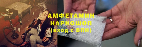 прущие грибы Верея