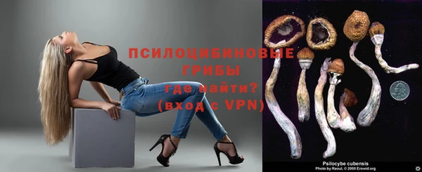 стафф Верхний Тагил