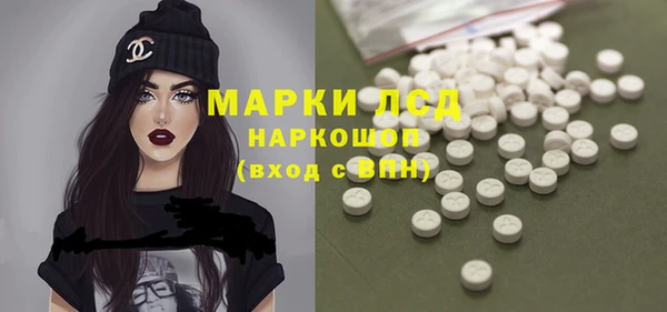 прущие грибы Верея
