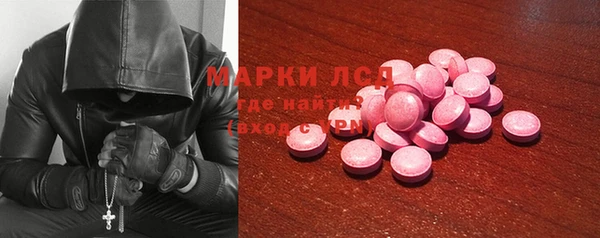 прущие грибы Верея